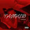 TFMshowout - Tangled - Single